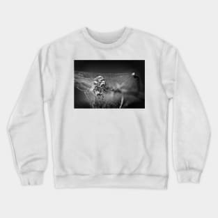 the king of Lowertown Crewneck Sweatshirt